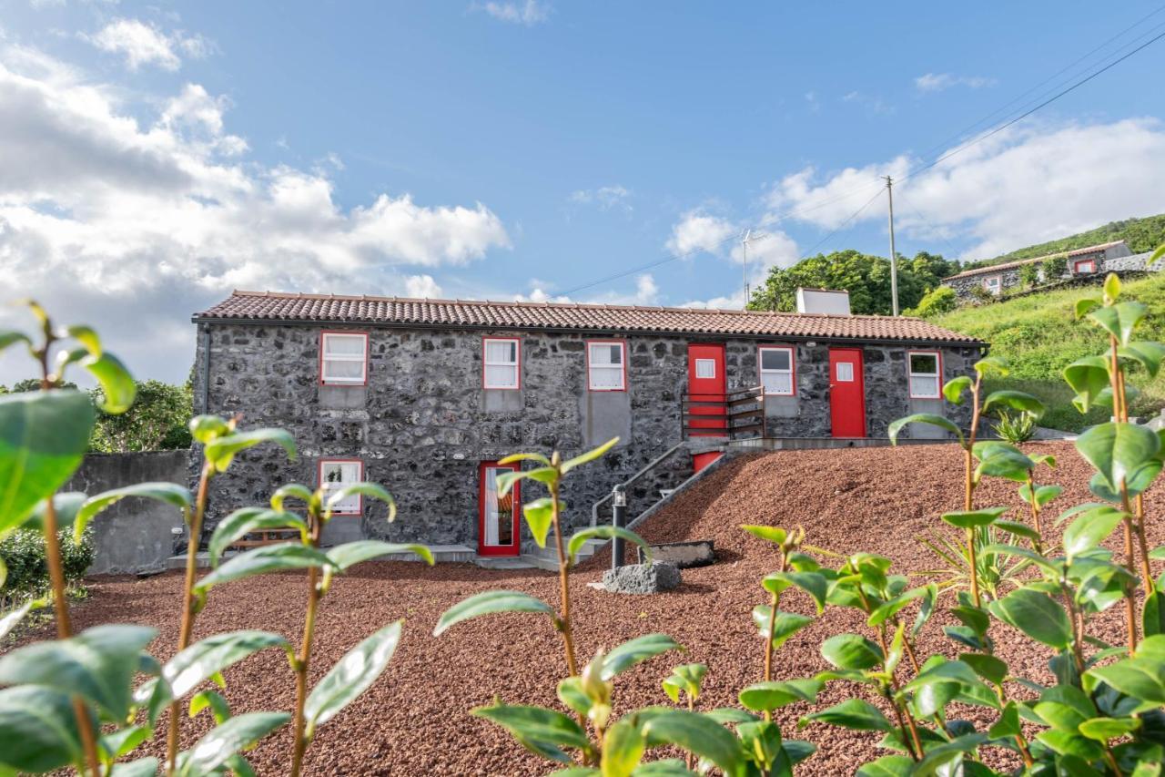 Villa Aldeia Da Gingeira São Mateus Exterior foto